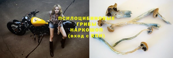 дживик Тихвин