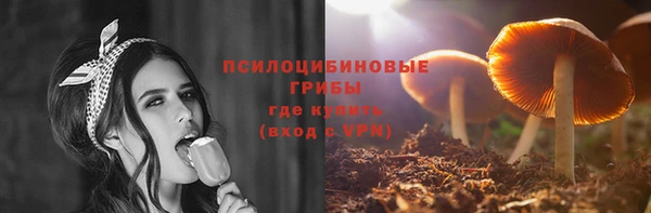 Альфа ПВП Заволжск