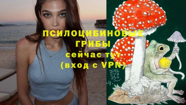 а пвп мука Заволжье
