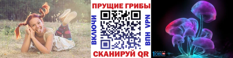 Купить закладки  Лосино-Петровский  Галлюциногенные грибы Psilocybine cubensis 