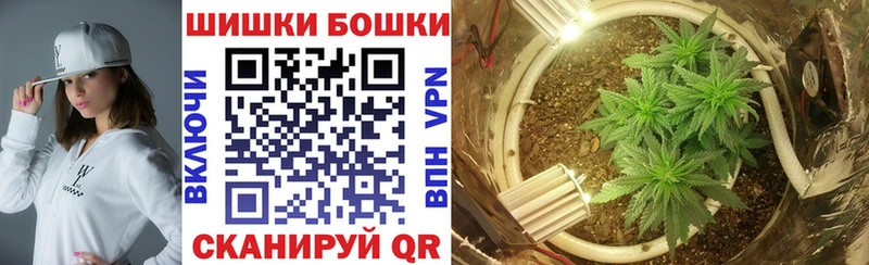 Купить  Лосино-Петровский  Бошки марихуана сатива 